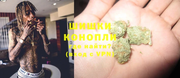 ПСИЛОЦИБИНОВЫЕ ГРИБЫ Слюдянка