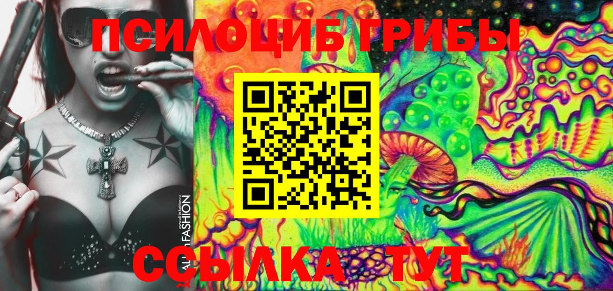 Псилоцибиновые грибы мицелий Коркино