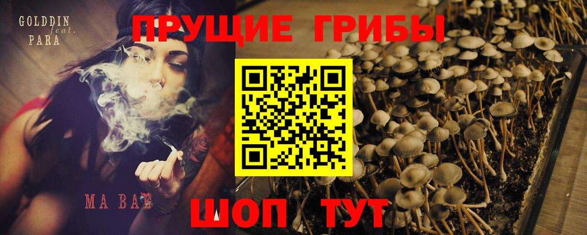 Коркино  Галлюциногенные грибы прущие грибы  Вход с VPN 